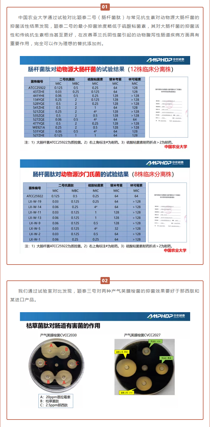 中農(nóng)穎泰-助力河南省飼料工業(yè)協(xié)會2021年度峰會_03